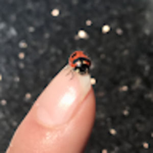 Meet your Posher, Saraa